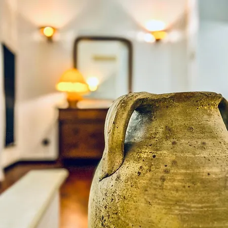Apartment Gala - Treb Collection *